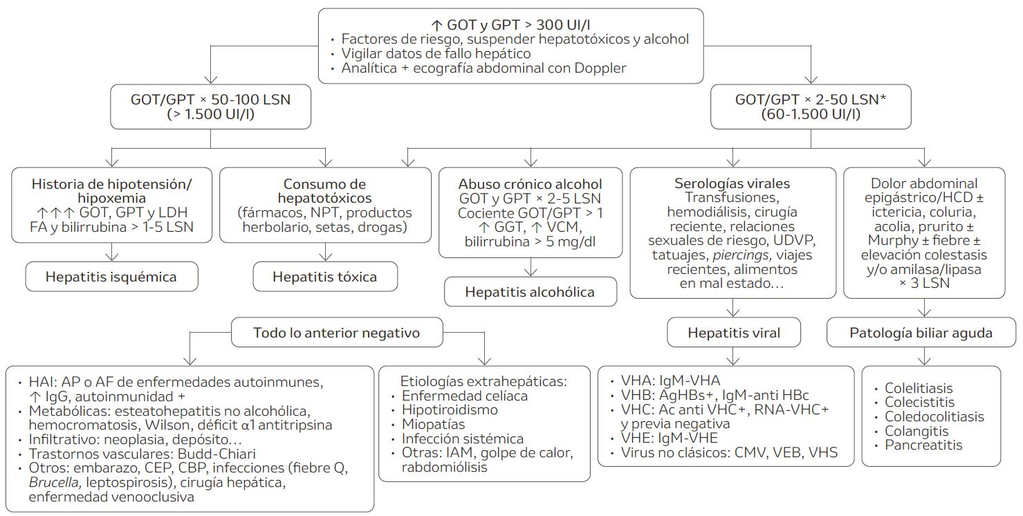 Evaluación de la elevación aguda de transaminasas