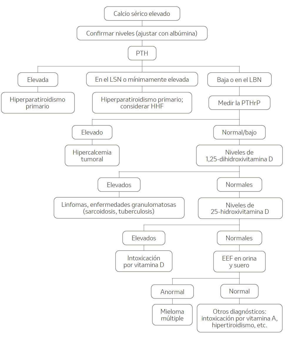 Algoritmo diagnóstico de la hipercalcemia