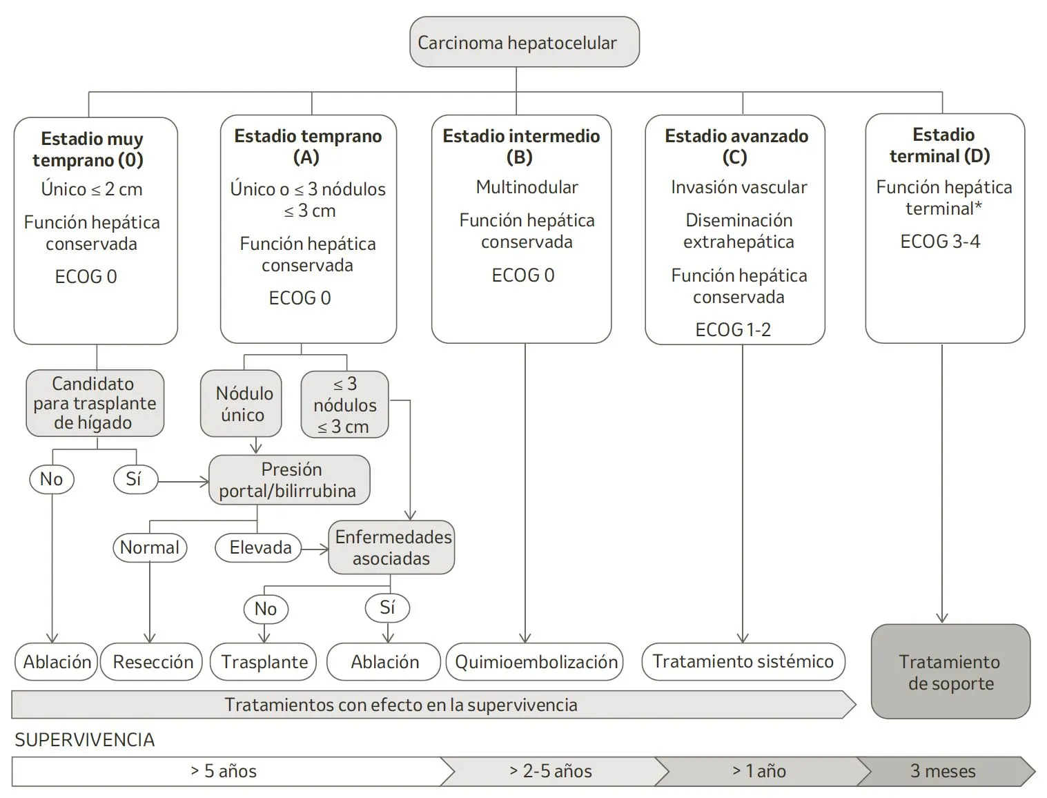 Clasificación de Barcelona-Clinic-Liver-Cancer.