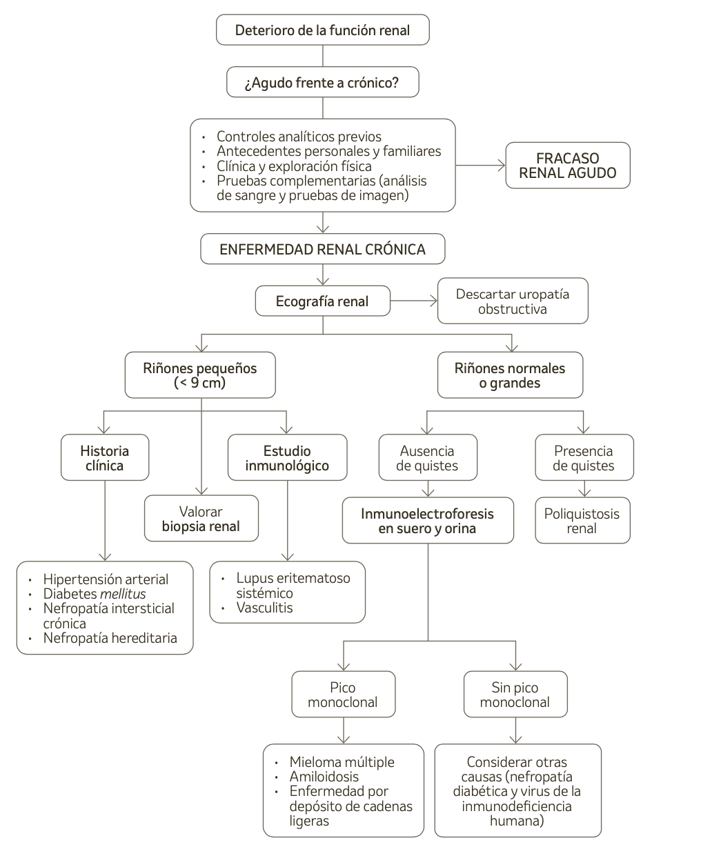 Evaluación diagnóstica de la enfermedad renal crónica.