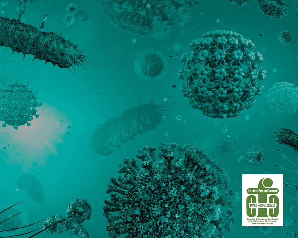 V Curso de Actualización en las Infecciones Relacionadas con la Asistencia Sanitaria