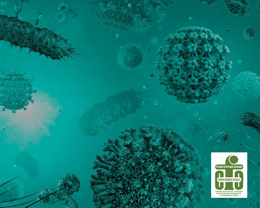 V Curso de Actualización en las Infecciones Relacionadas con la Asistencia Sanitaria