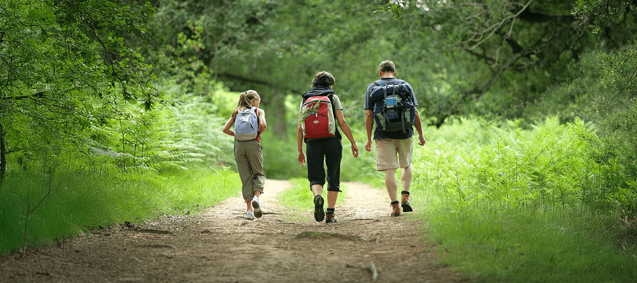 Grupo de personas camina por sendero forestal, simbolizando pasos diarios beneficiosos para la salud.