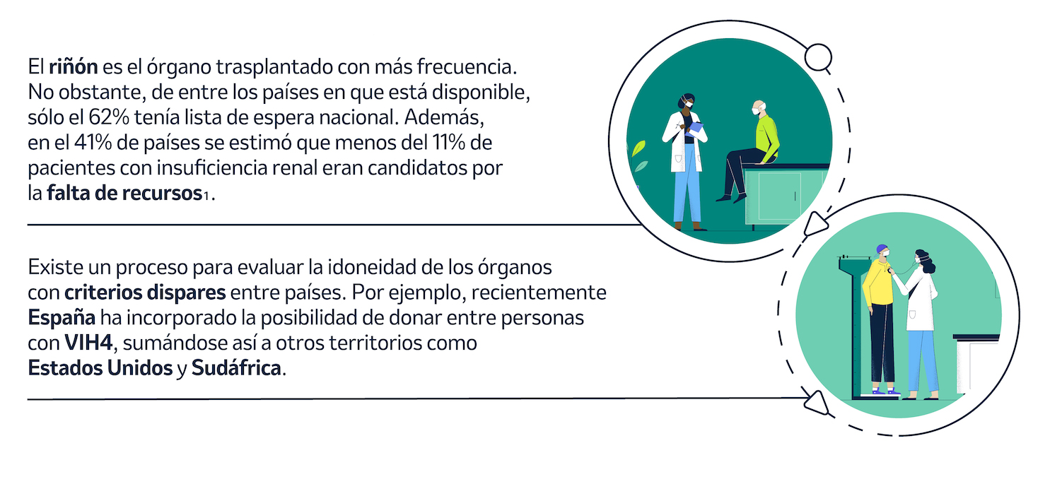 Infografia sobre desigualdades en trasplantes renales, listas de espera y criterios dispares, con medicos y pacientes.