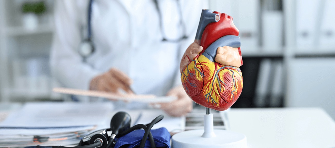 Modelo anatomico 3D de corazon en soporte, con estetoscopio y medico al fondo