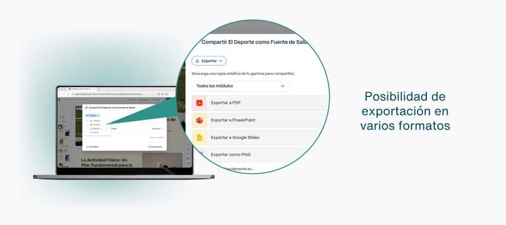 Imagen de la opción de exportar formatos.