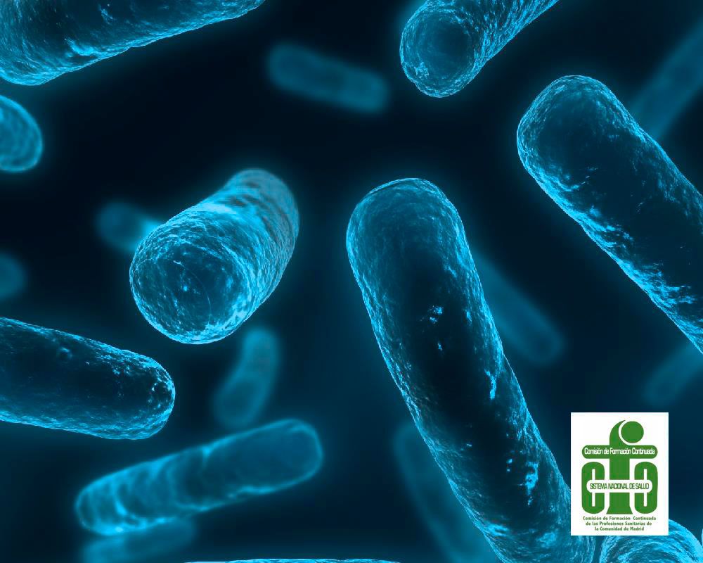 VI Curso de Actualización en las Infecciones Relacionadas a la Asistencia Sanitaria